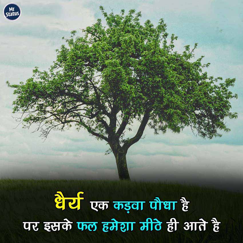 Download free status image